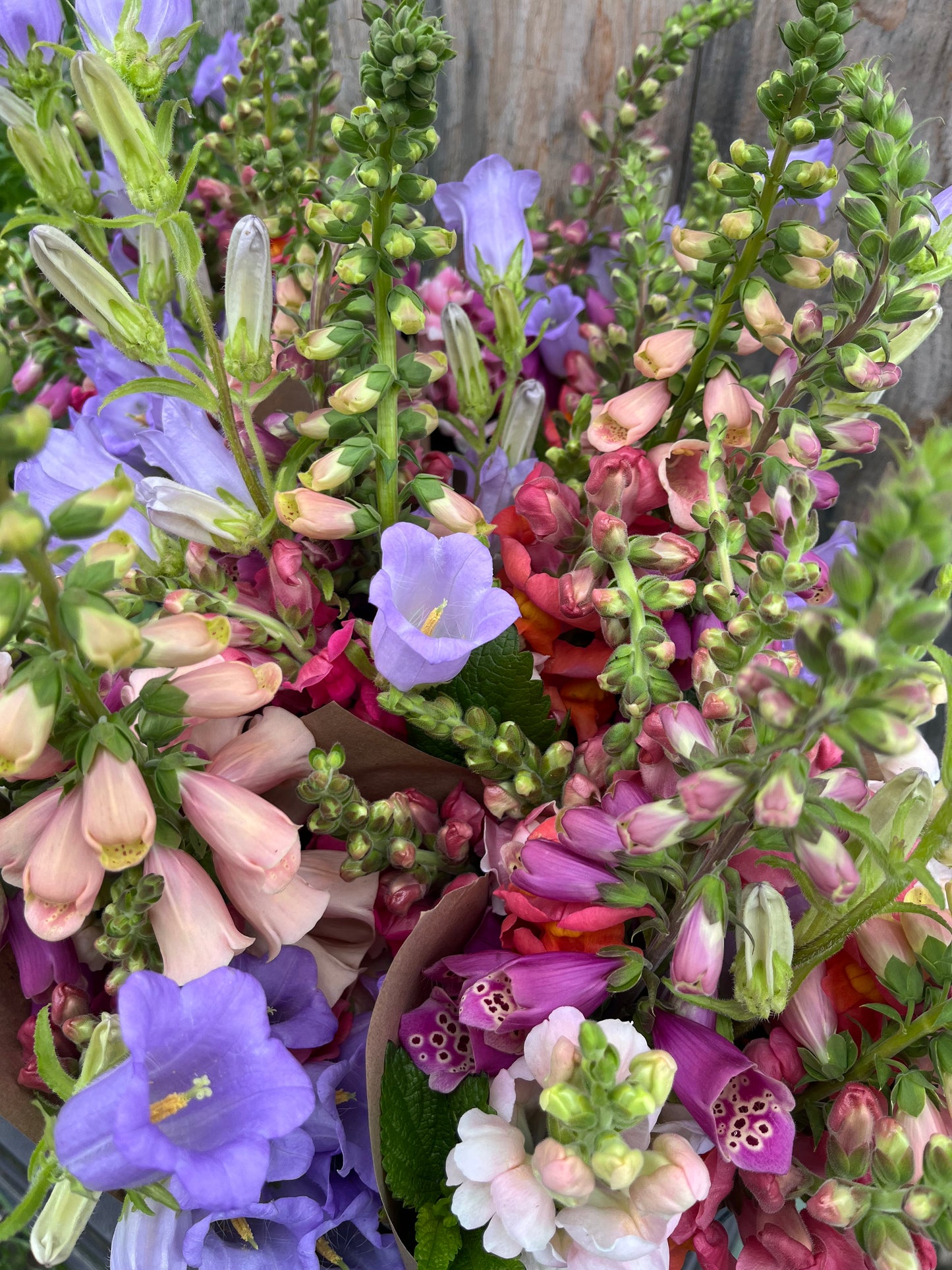 Seasonal Flower CSA