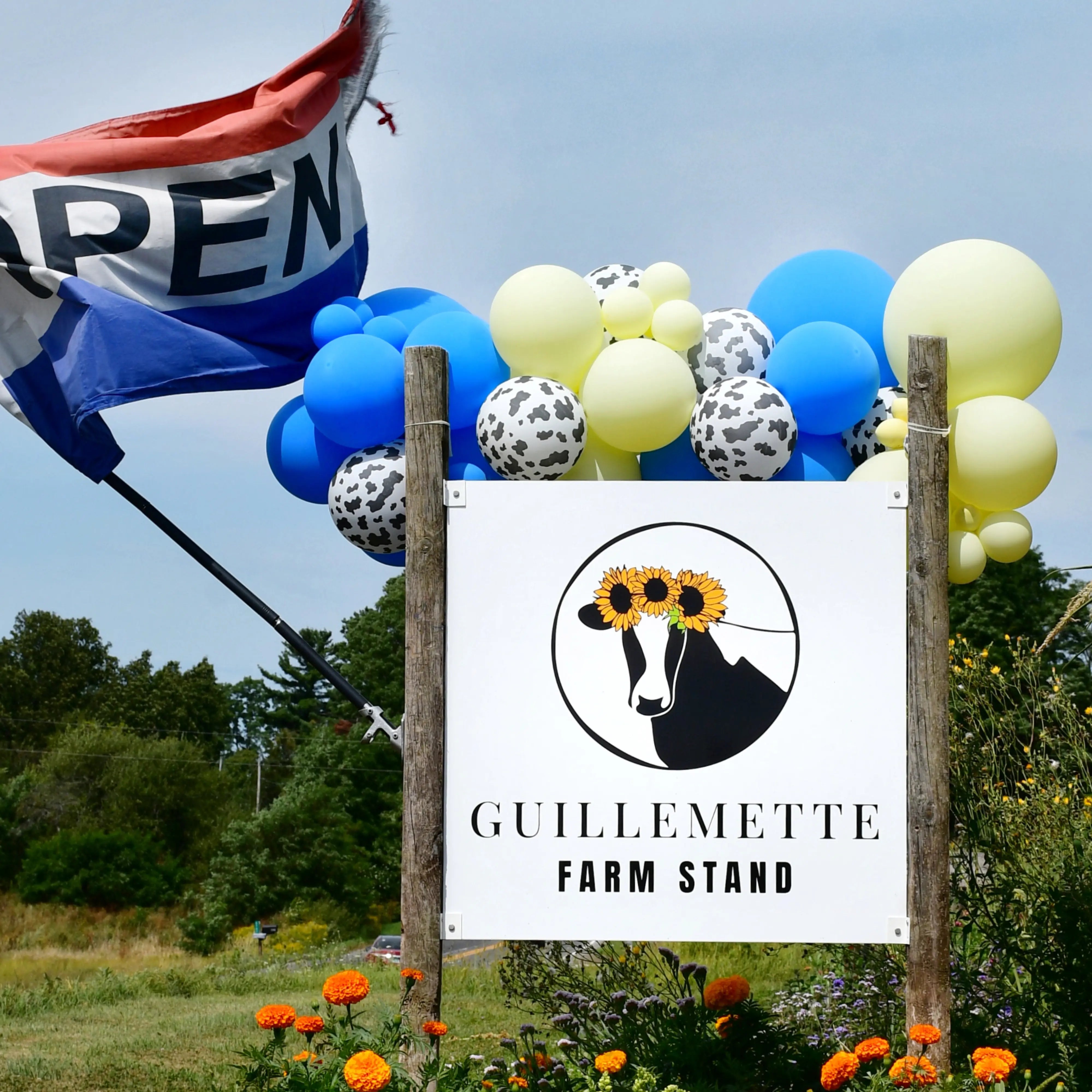 Guillemette Farm Stand & Flower CSA 30