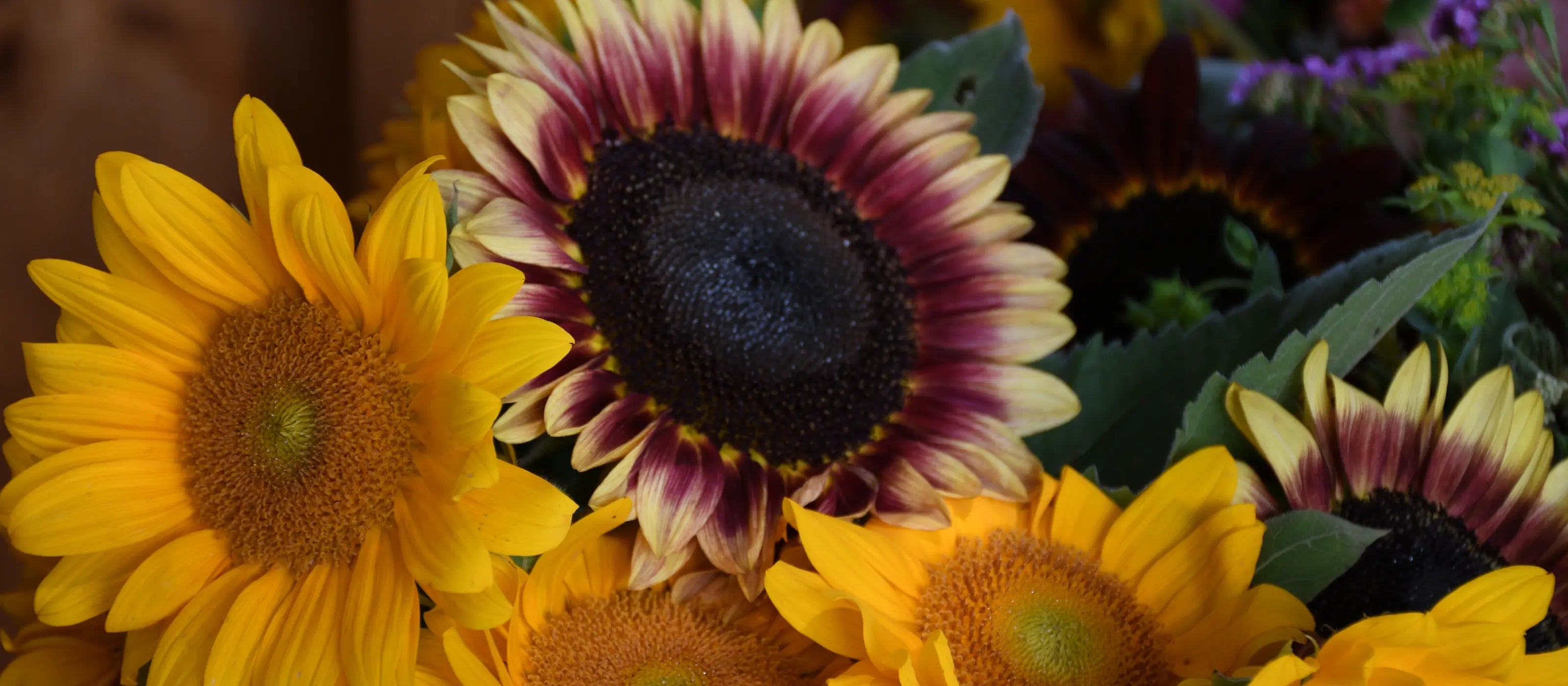 Guillemette Farm Stand & Flower CSA 20