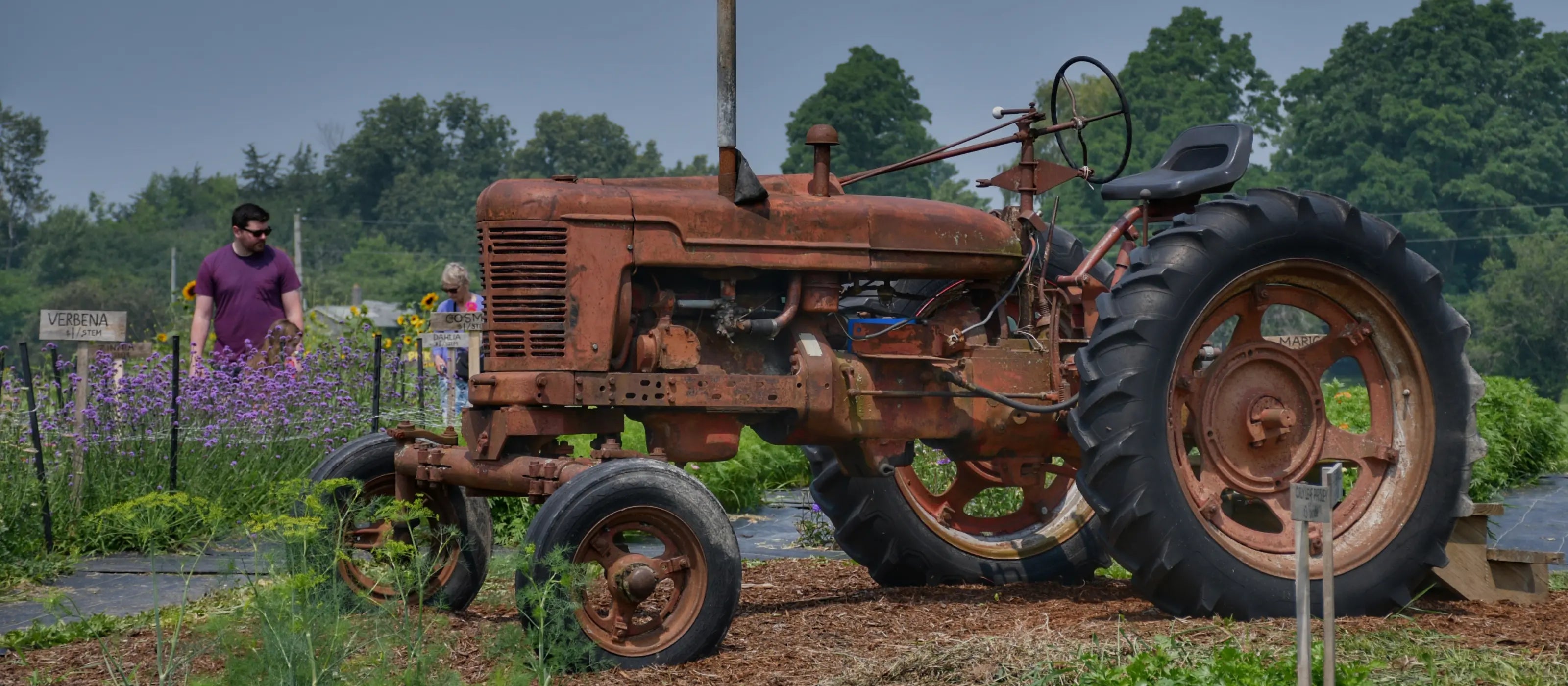 Guillemette Farm Stand & Flower CSA 18