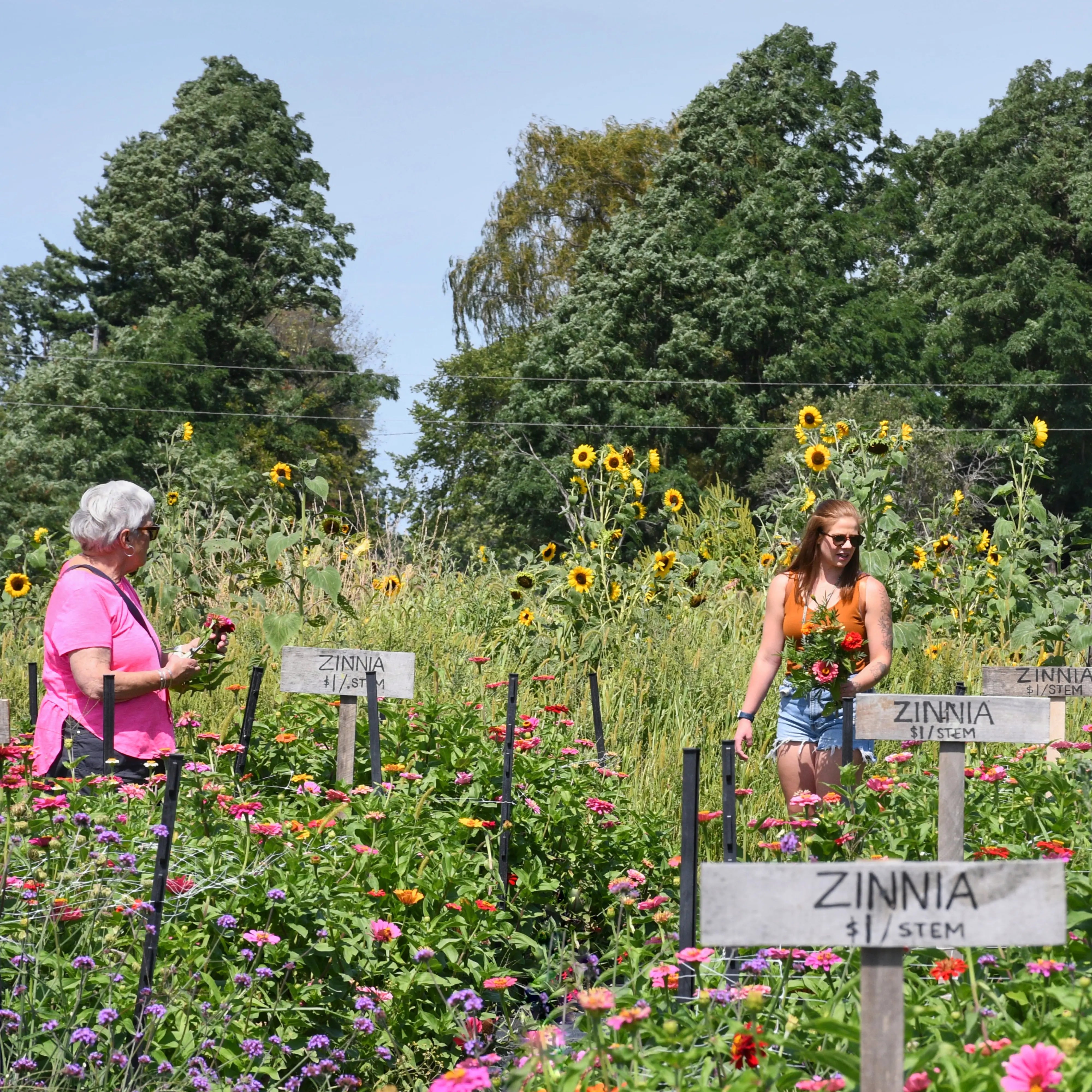 Guillemette Farm Stand & Flower CSA 32