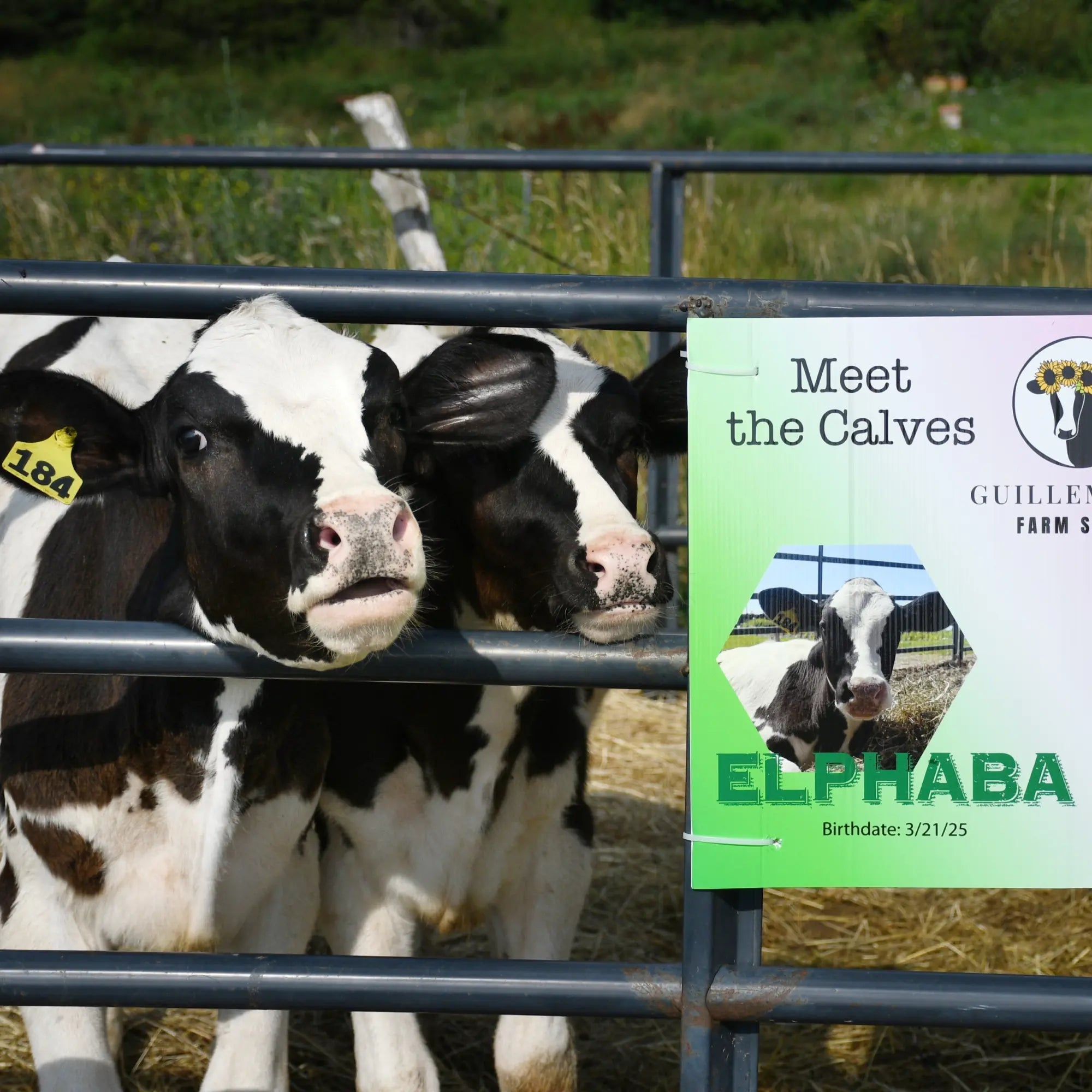 Guillemette Farm Stand & Flower CSA 13