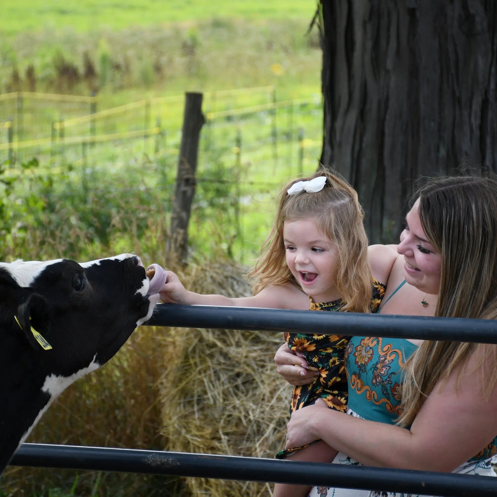 Guillemette Farm Stand & Flower CSA 16