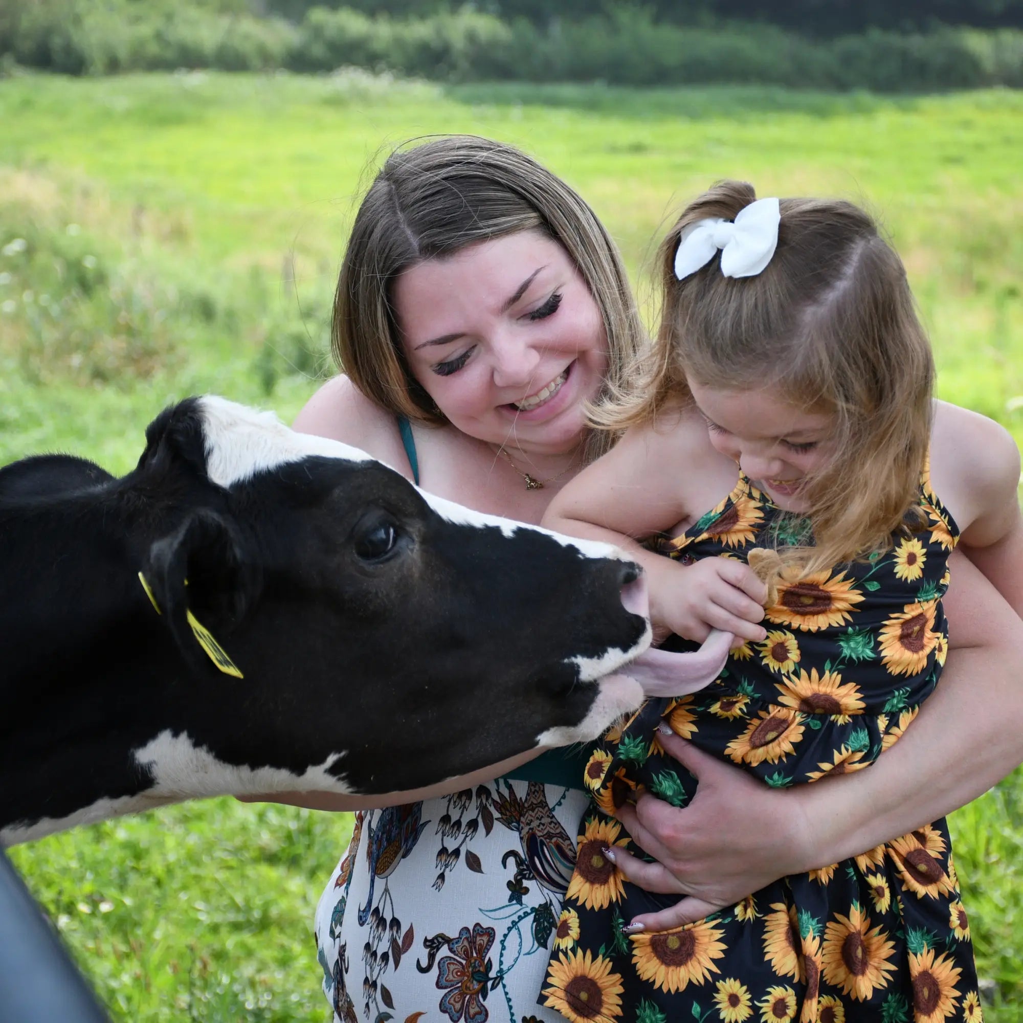 Guillemette Farm Stand & Flower CSA 12